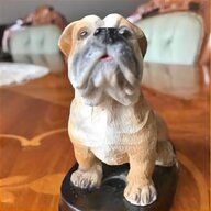 english bulldog for sale
