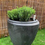 fibreglass pot for sale