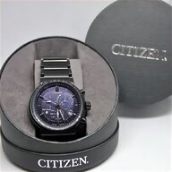 citizen perpetual for sale