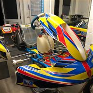 alonso kart for sale