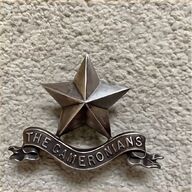 sherwood foresters cap badge for sale