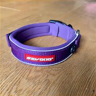 dog show collar for sale