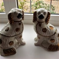 wally dogs for sale