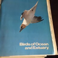 bird encyclopedia for sale
