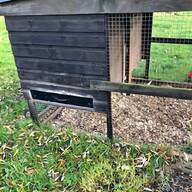 duck shed for sale