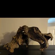 reptile driftwood for sale