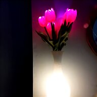tulip lights for sale