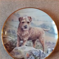 border terrier plate for sale