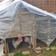 eglu chicken house for sale