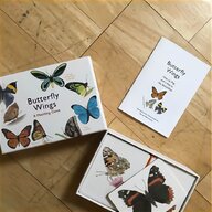 butterfly wings for sale