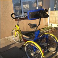 adults electric trike for sale
