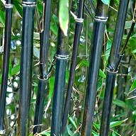 garden canes for sale