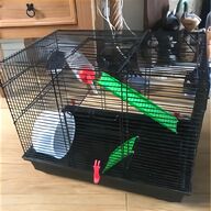 cages rats for sale