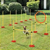 dog agility jumps for sale