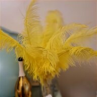 ostrich feather boa for sale