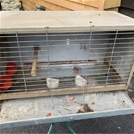 quail cage for sale