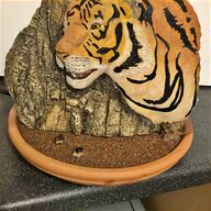 brighton tigers for sale