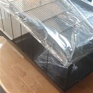 double dog crate for sale
