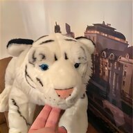 white tiger for sale