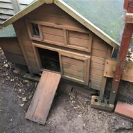 plastic hen house for sale