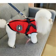 xxs dog coat for sale