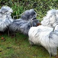 sheepskin pelts for sale