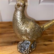golden pheasant for sale