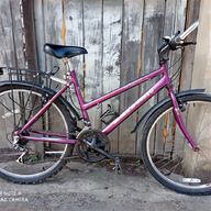 raleigh max lite for sale