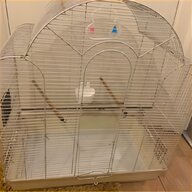 bird trap for sale