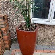 extra large plant pots for sale