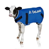 delaval for sale