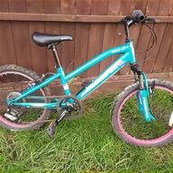 pace mountain bike for sale