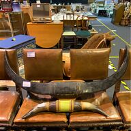 buffalo horn for sale