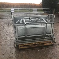 shed trailer for sale