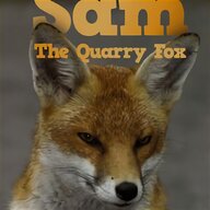 sam fox for sale