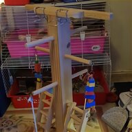 parrot playstand for sale