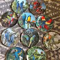 macaw plate for sale