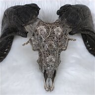 carved buffalo horn for sale