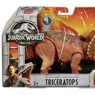 kota triceratops for sale