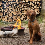 wood burning logs for sale