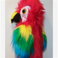 parrots macaws for sale