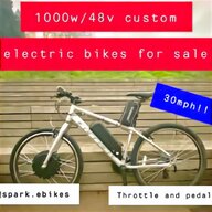 electric bike kit 1000w for sale