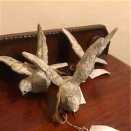 stag head taxidermy for sale