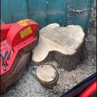 tree slab for sale