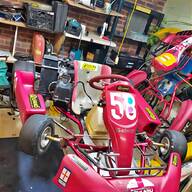 rotax 125 for sale