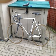 raleigh equipe for sale