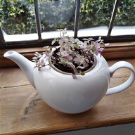teapot trail for sale