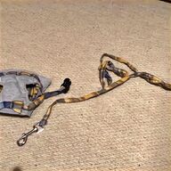 greyhound lead for sale