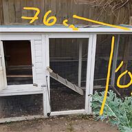 omlet coop for sale