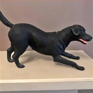 black labrador puppies for sale
